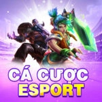 ca-cuoc-esport-icon