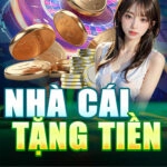 nha-cai-tang-tien-icon